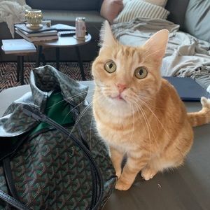 Meet your Posher, Calley